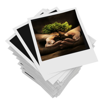 environmentally friendly logo